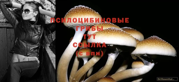 гашиш Белоозёрский