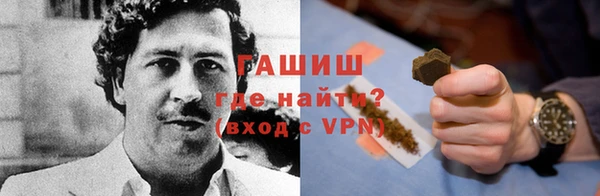 прущие грибы Надым