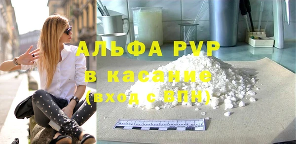 прущие грибы Надым