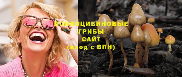 дмт Белокуриха