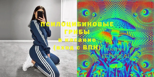 дмт Белокуриха